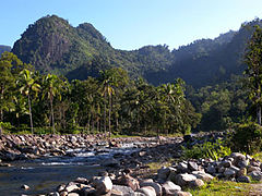 Kerinci Seblat river