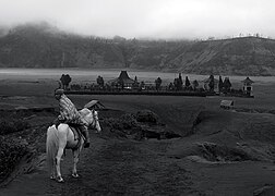 Pony, Mount Bromo (Gunung Bromo) East Java