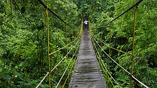 Jembatan Gantung di Sangkima Jungle Park TN Kutai