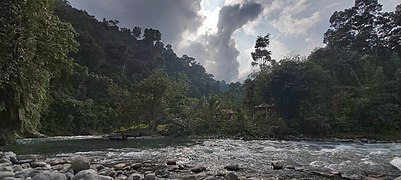 Kawasan Hutan Bukit Lawang