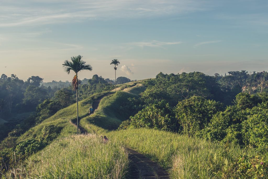 Retirement visa Indonesia