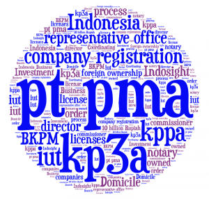 Legal entity in Indonesia